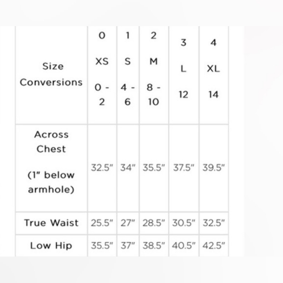 Sundry Chambray Wild Floral Ruffled‎ Flounce Romantic Mini Skirt  Sz  M (2) NEW - Picture 16 of 16